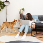 Cara Memilih Dog Hotel untuk Anjing di Sistem Cage Free